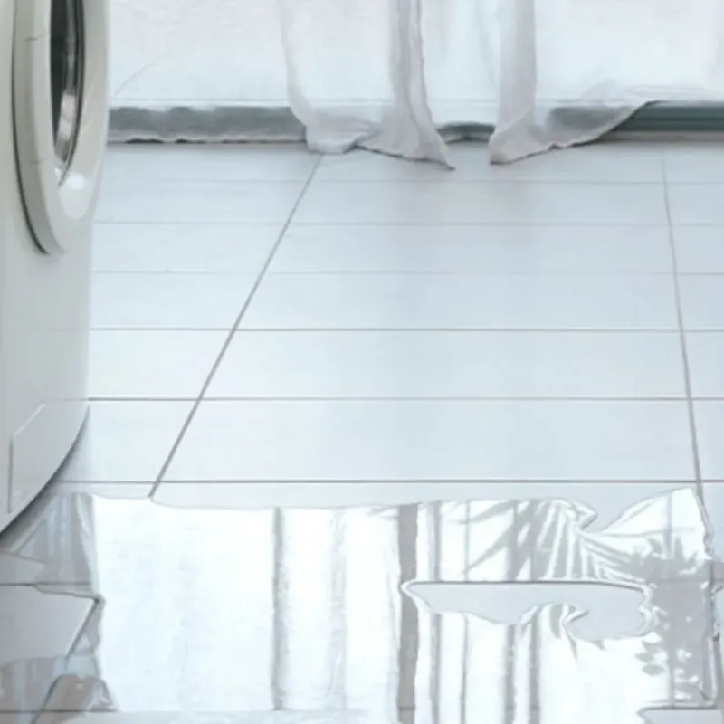 Appliance Leak Cleanup in Lawrence County, AR