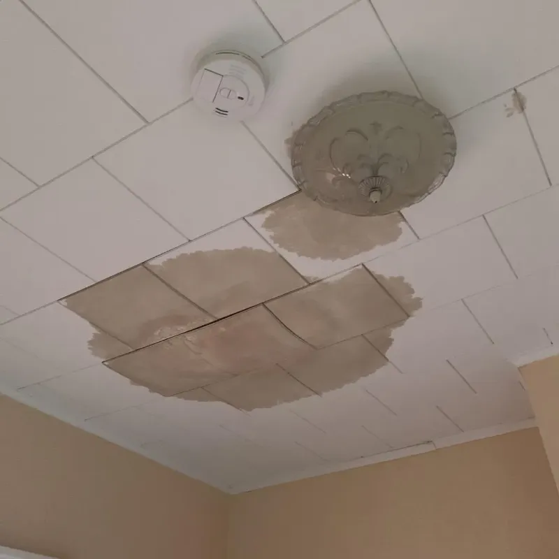 Ceiling Water Damage Repair in Lawrence County, AR