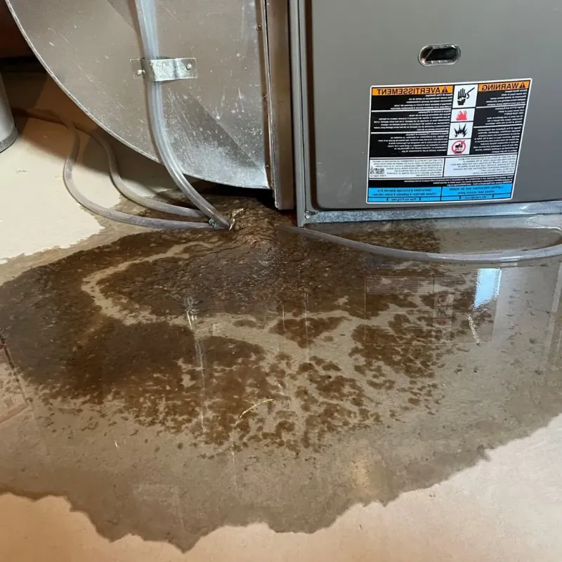 Pipe Burst and Leak Restoration in Lawrence County, AR